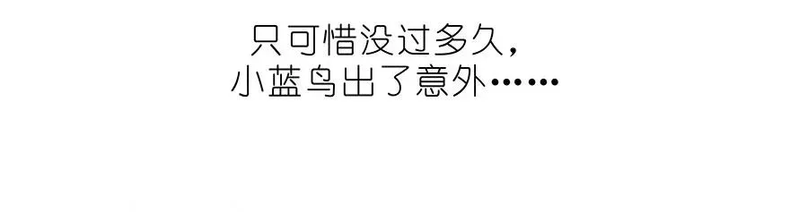 番外32 飞星喵十二 第12页