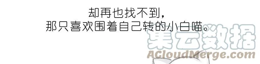番外32 飞星喵十二 第15页