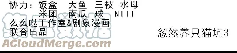 番外45 忽然想养猫坑3 第2页