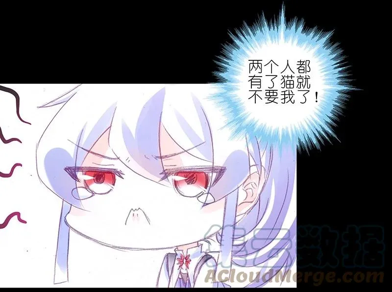 番外45 忽然想养猫坑3 第4页