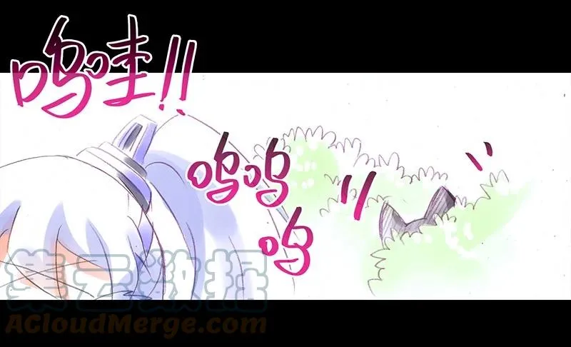 番外45 忽然想养猫坑3 第7页