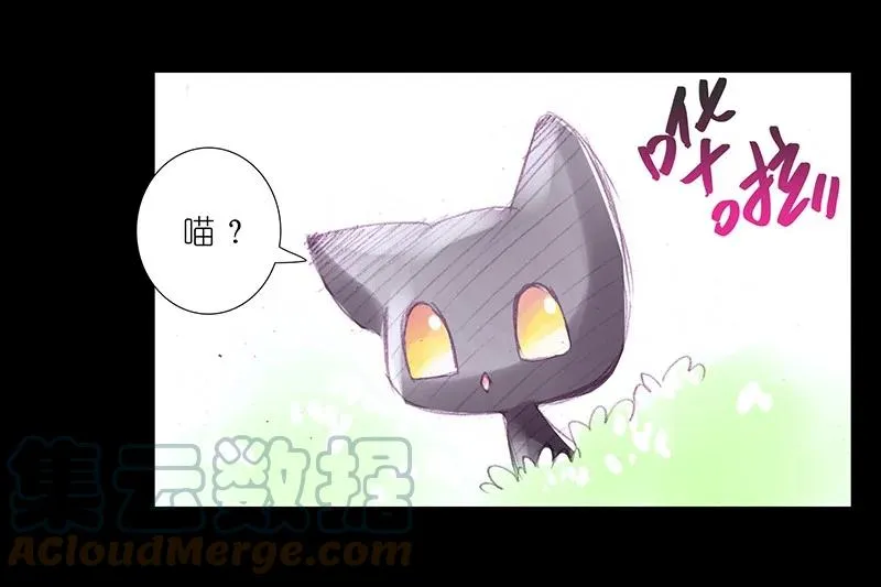 番外45 忽然想养猫坑3 第8页