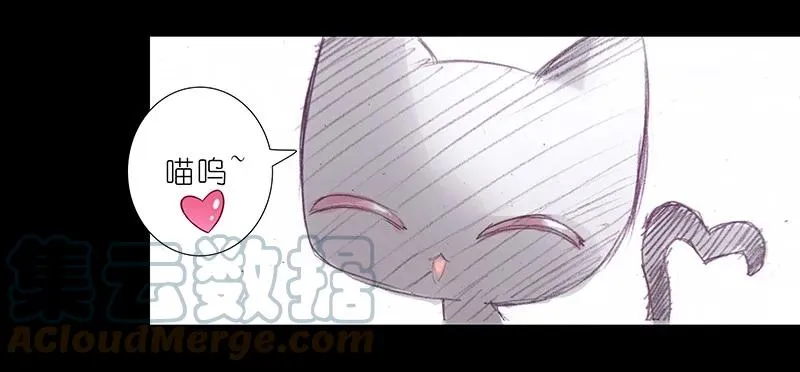 番外45 忽然想养猫坑3 第10页