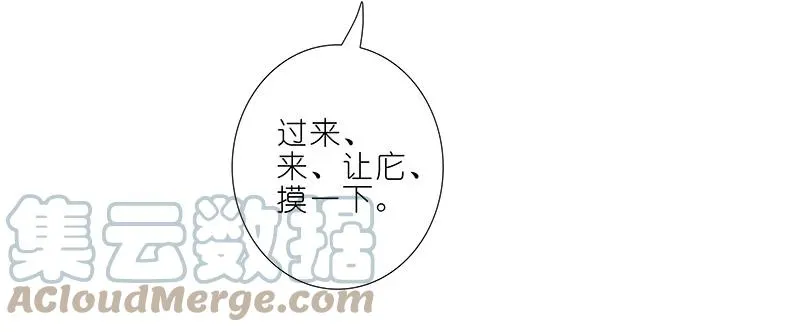 282 第15页
