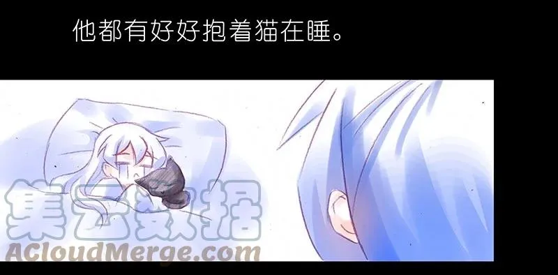 番外46 忽然想养猫坑4 第7页