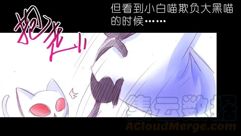 番外46 忽然想养猫坑4 第11页