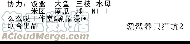 番外44 忽然想养猫坑2 第2页