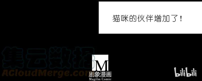 番外44 忽然想养猫坑2 第11页