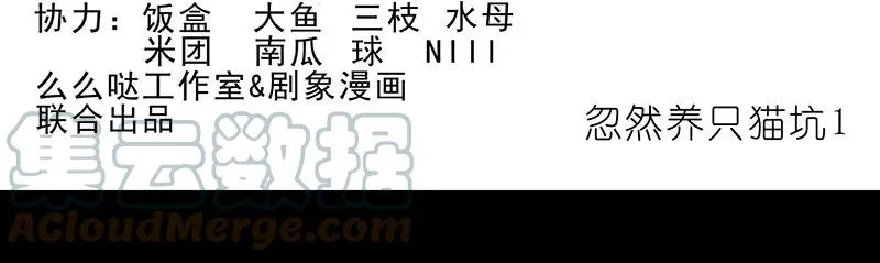 番外43 忽然想养猫坑1 第2页