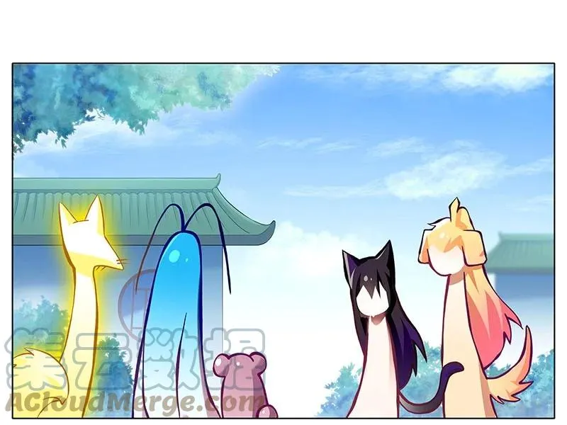 269 第11页