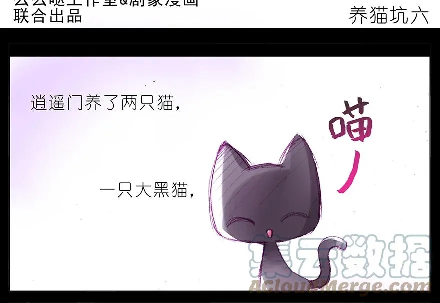 番外 番外：忽然养只猫 六 第2页
