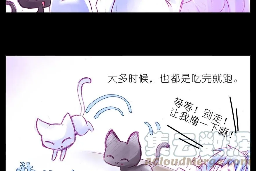 番外 番外：忽然养只猫 六 第4页