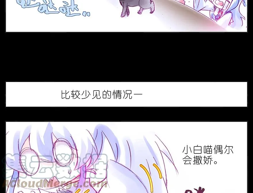 番外 番外：忽然养只猫 六 第5页