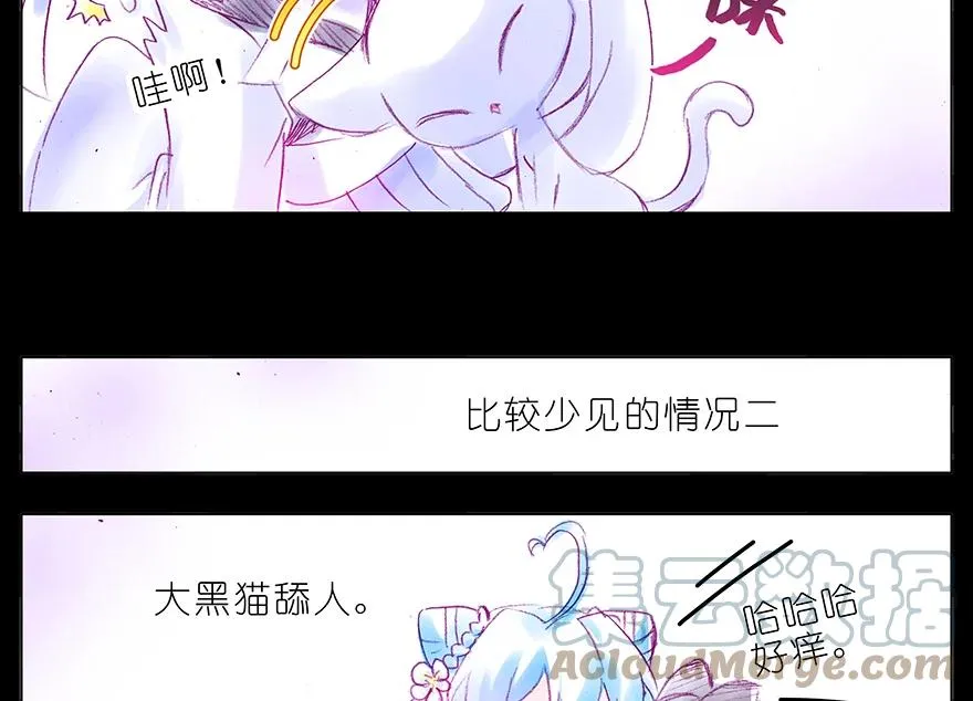 番外 番外：忽然养只猫 六 第6页