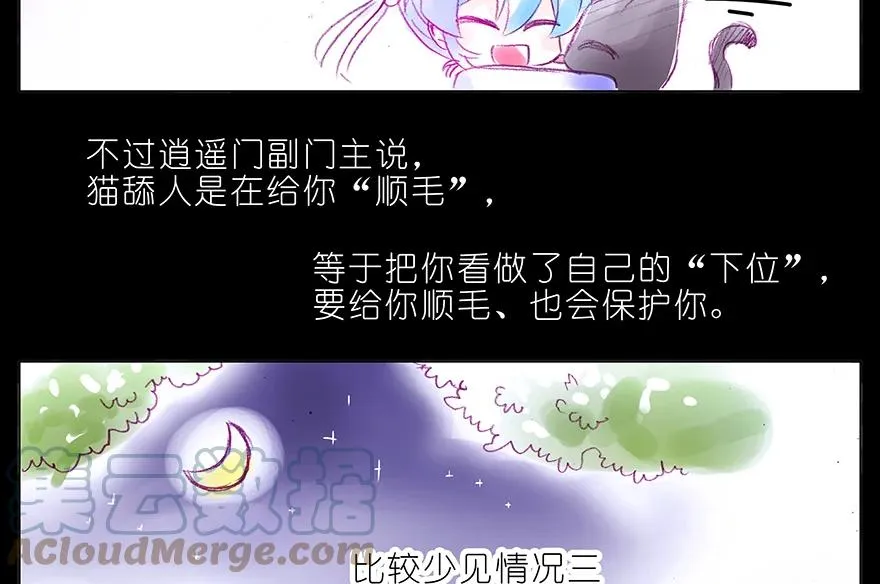 番外 番外：忽然养只猫 六 第7页