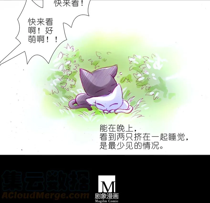 番外 番外：忽然养只猫 六 第9页