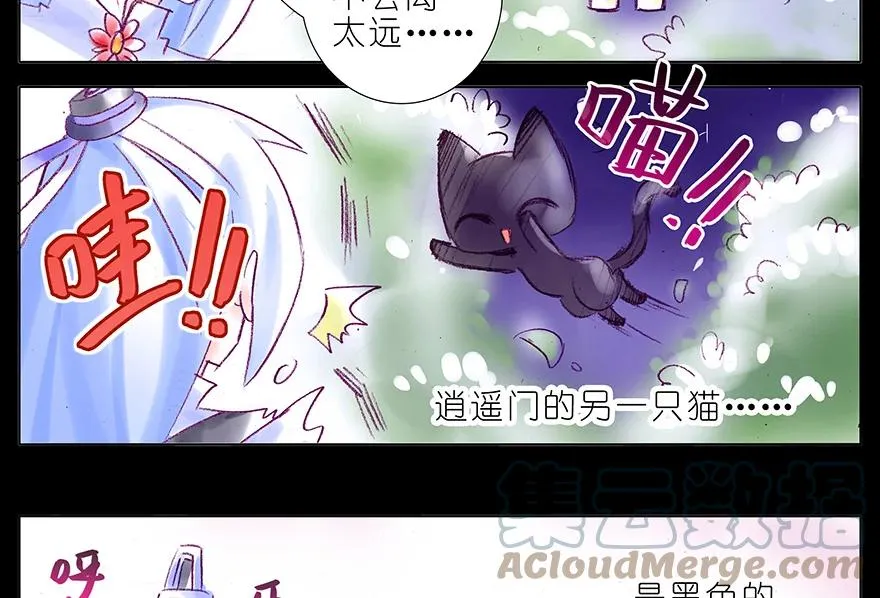 番外 番外：忽然养只猫 七 第5页