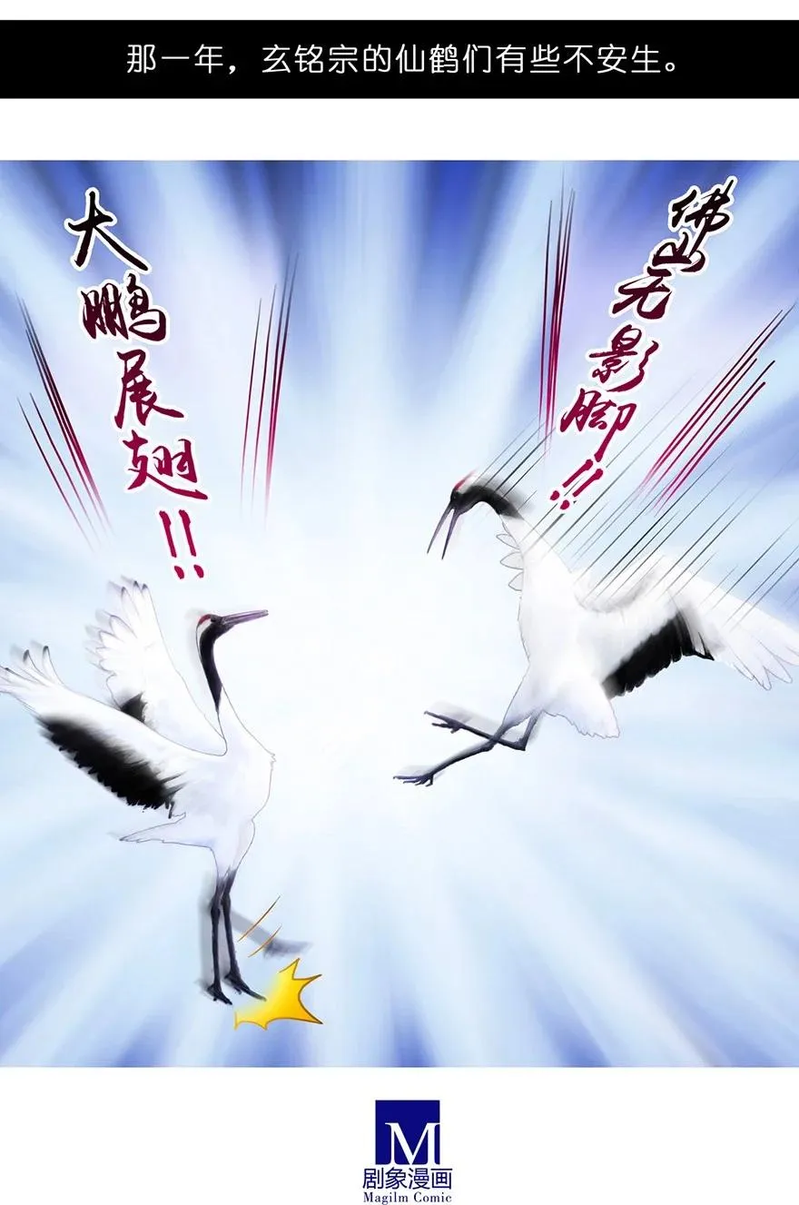 51 第8页