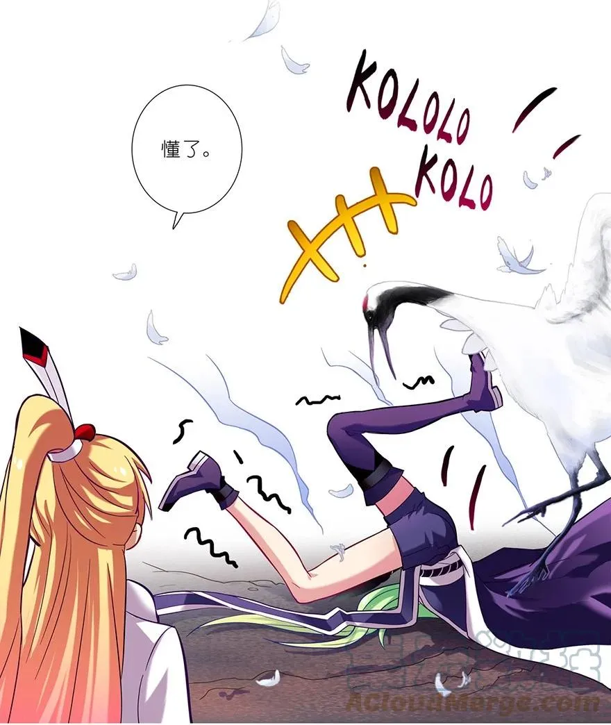 51 第17页
