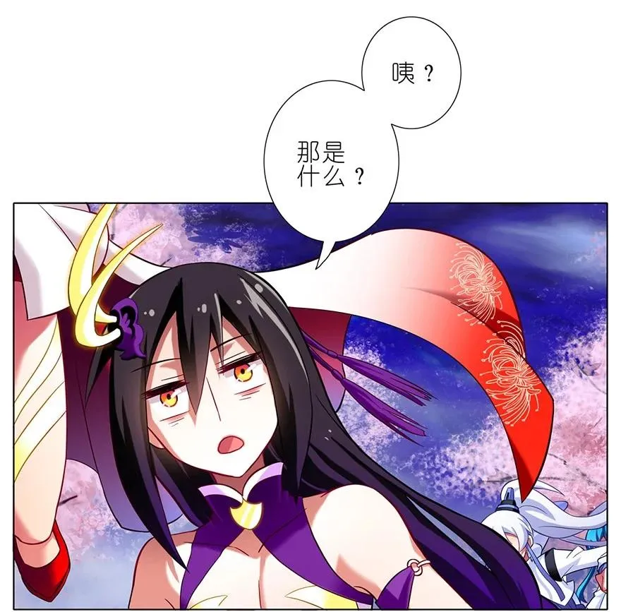 41 第6页