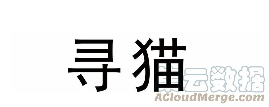 请假条 第5页