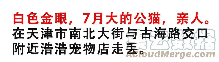 请假条 第6页