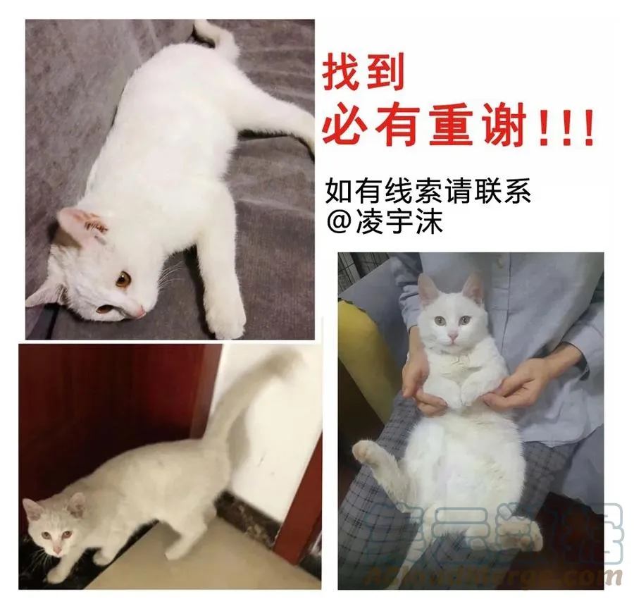 请假条 第7页