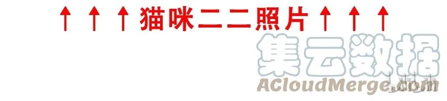 请假条 第8页