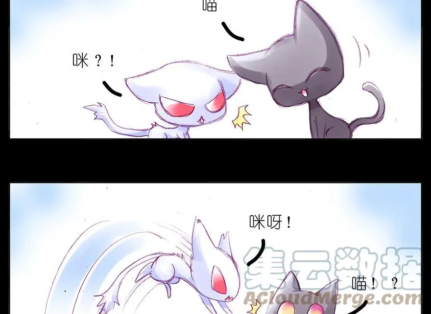 番外 忽然养只猫 八 第3页