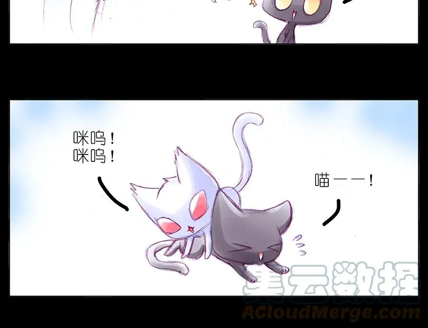 番外 忽然养只猫 八 第4页