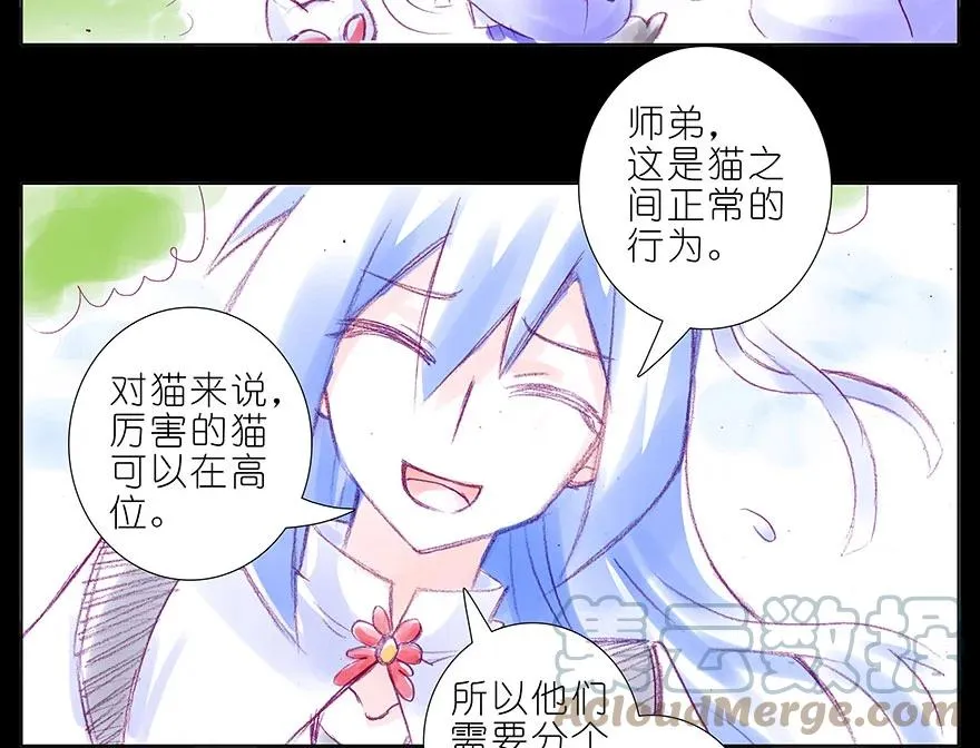 番外 忽然养只猫 八 第6页