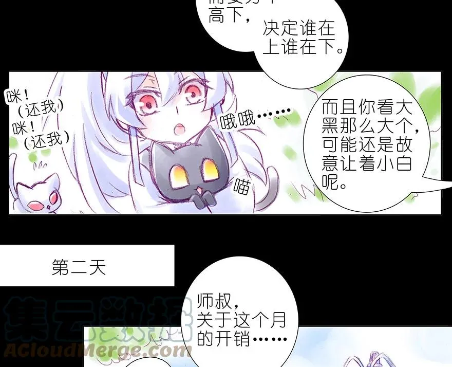 番外 忽然养只猫 八 第7页