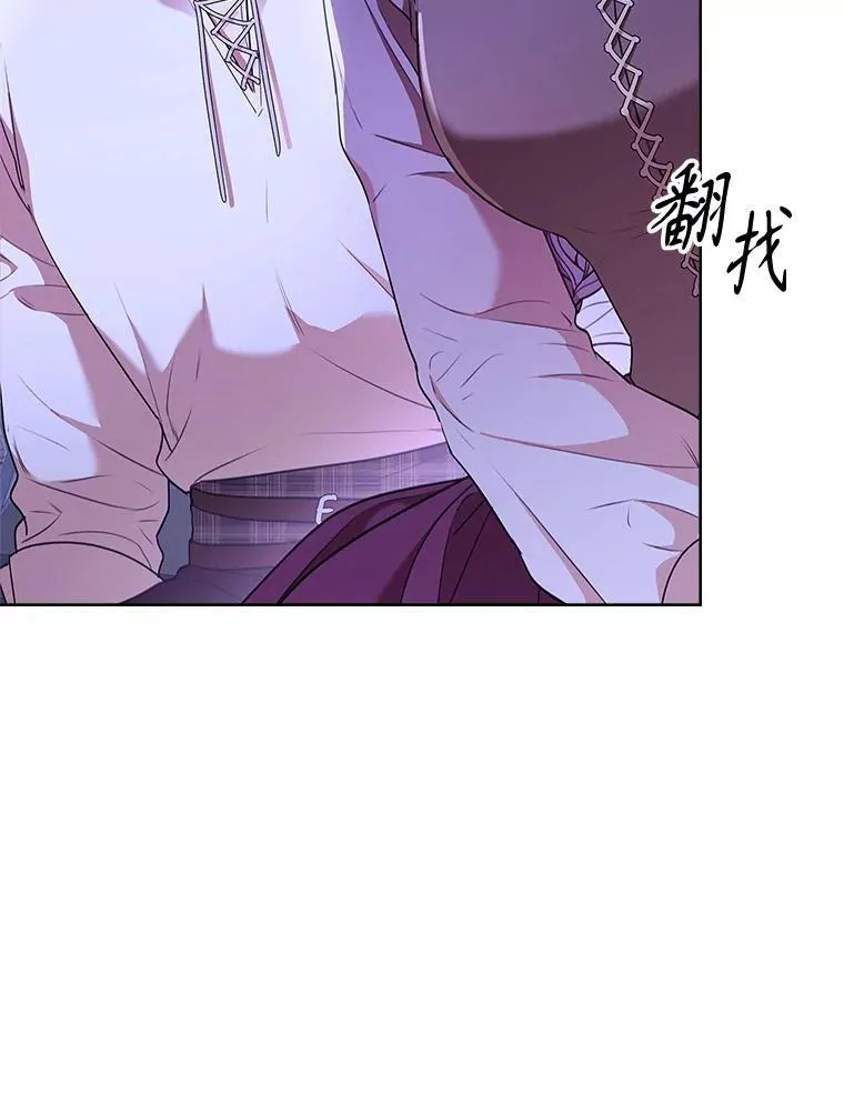 99.庆典开始 第12页