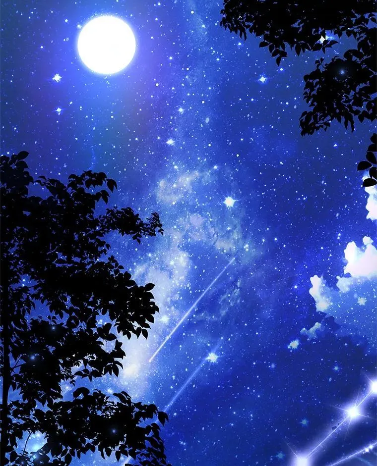 98.单独约会 第87页