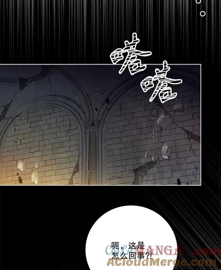 108.尘埃落定 第73页