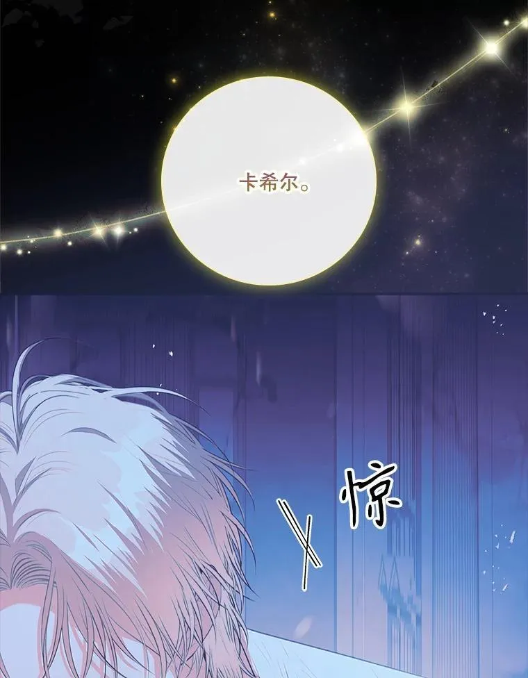 108.尘埃落定 第110页
