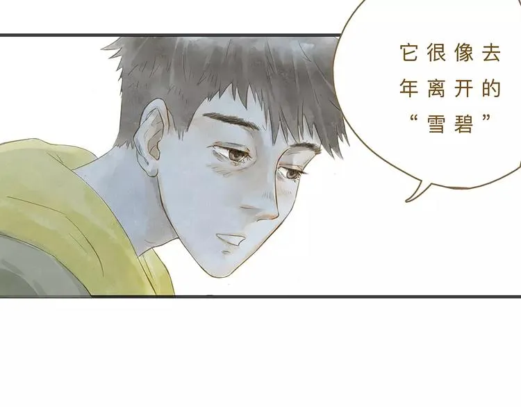 第11话（下）深夜食—体谅 第41页