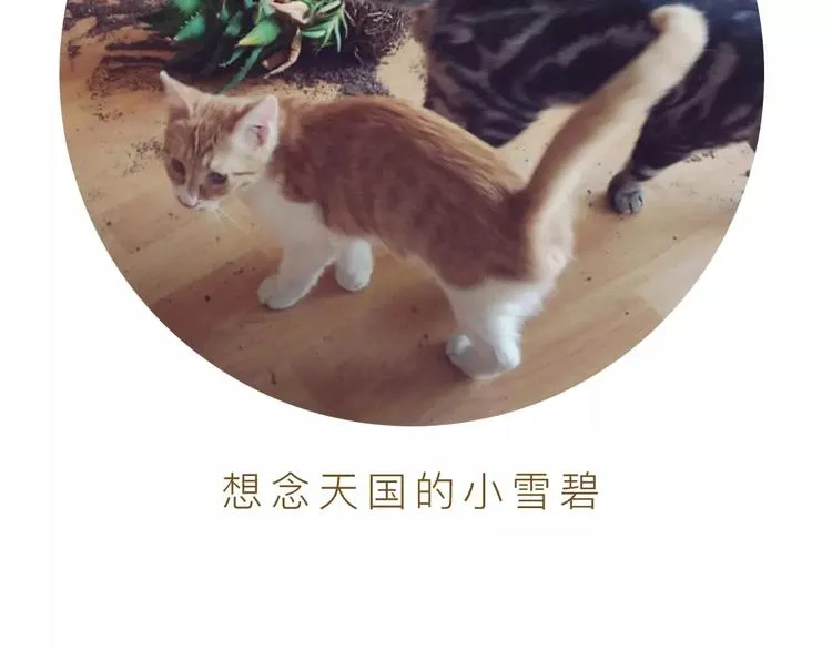 第11话（下）深夜食—体谅 第92页