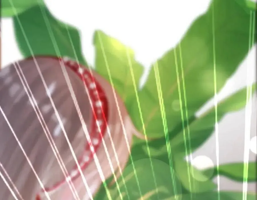 第5话 红毯解围 第98页