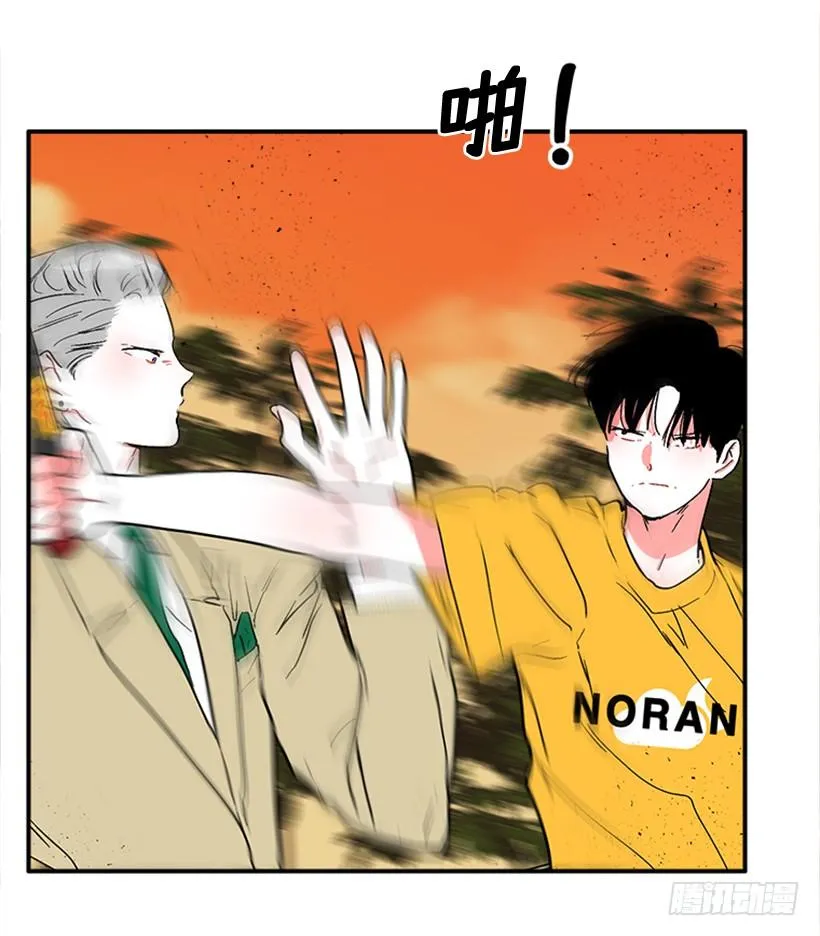 158.殊死搏斗 第17页