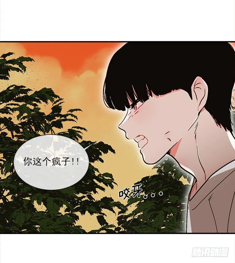 157.离开的真正原因 第35页