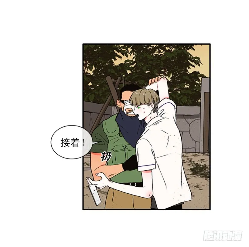 154.看来只有这个办法了 第33页