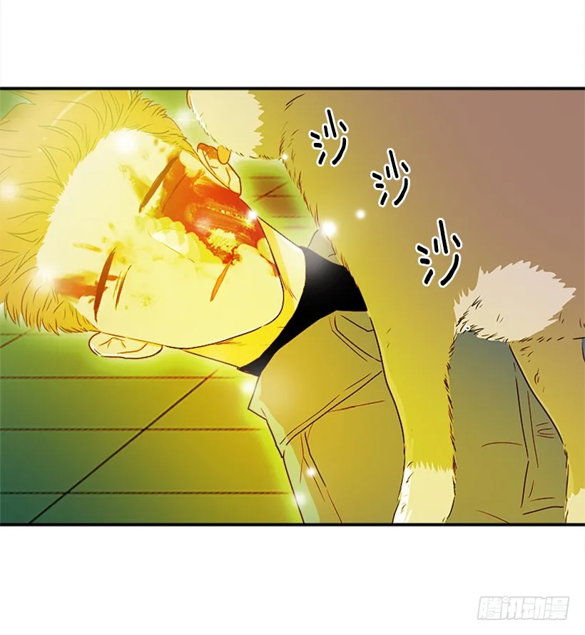 140.消散的大喵 第41页