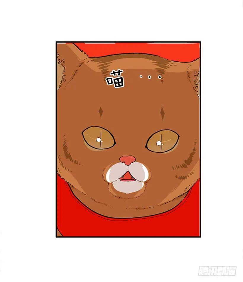 138.保护您到最后 第7页