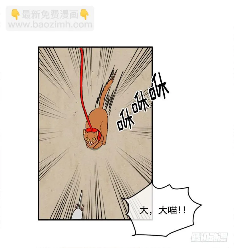 138.保护您到最后 第8页