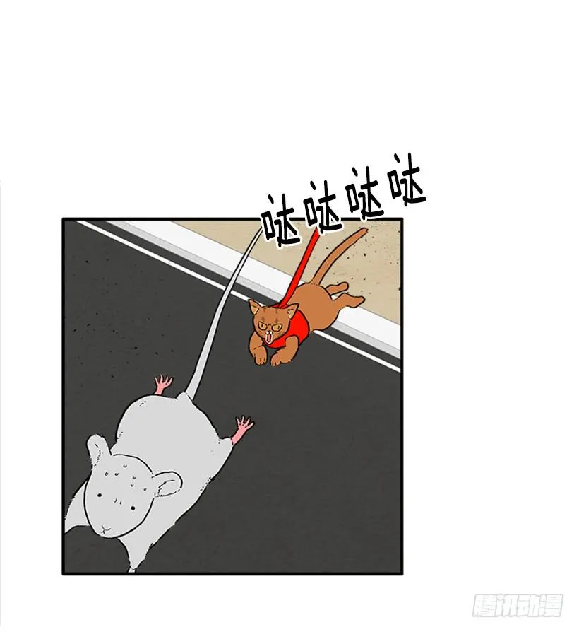 138.保护您到最后 第9页