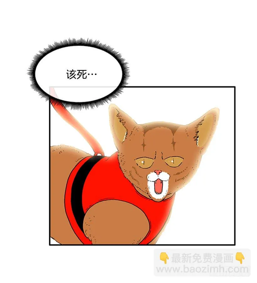 138.保护您到最后 第13页