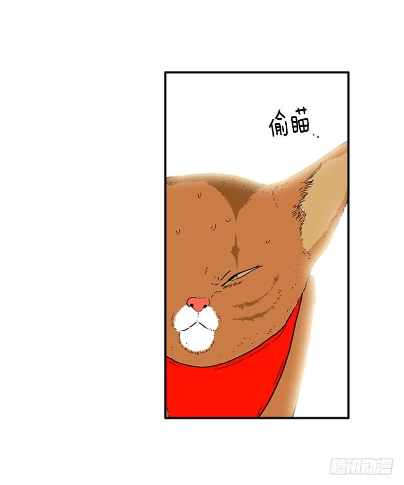 138.保护您到最后 第17页