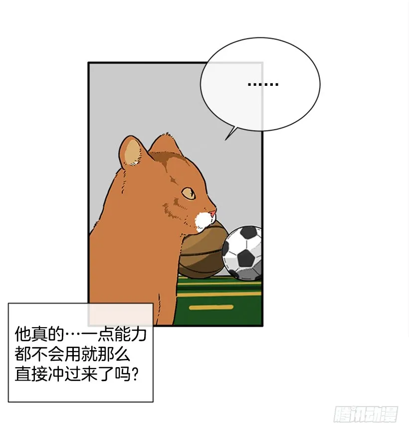 138.保护您到最后 第23页