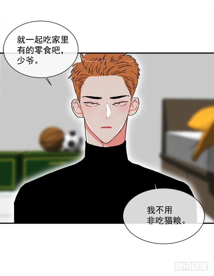 138.保护您到最后 第28页